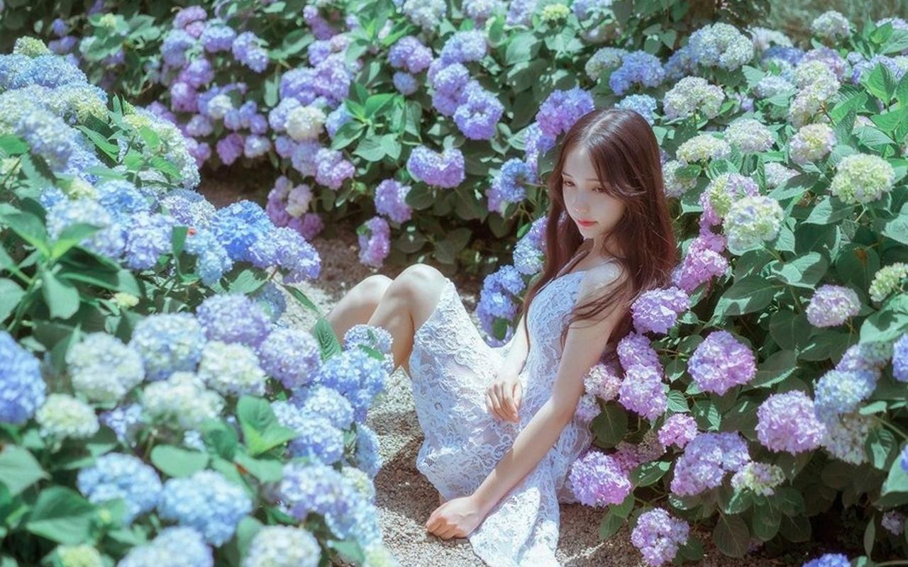 “辉煌60载 魅力新西藏”集中采访活动启动